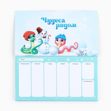 Planing mini-calendar on the cover, 50 liters. "Magic New Year"-2