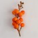 Decor "Orange Berries" 4 × 4 × 11 cm