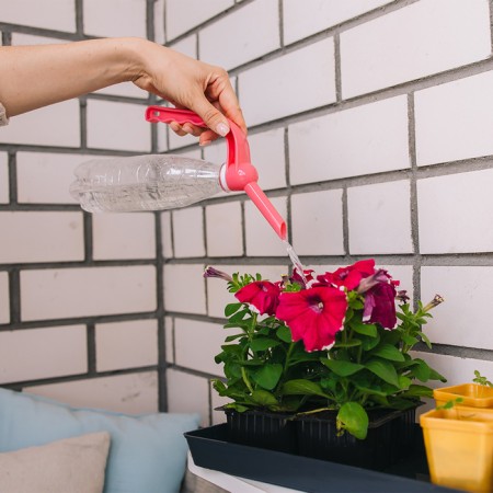 Lake-up on a bottle for watering plants-10