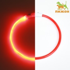 Collar - highlight ring, charging from USB, up to 70 cm, 3 glow modes, red