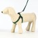 Acunition set is embossed, leash 120 x 1.5 cm, OG 36-49 cm, green-black