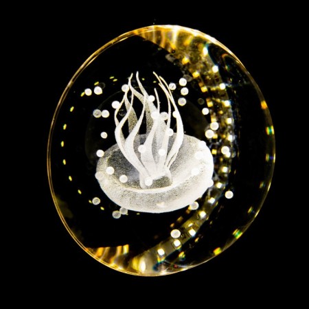 Lamp "Medusa" LED 7W 4000k gold 11x10x11-110cm Bayerlux-4