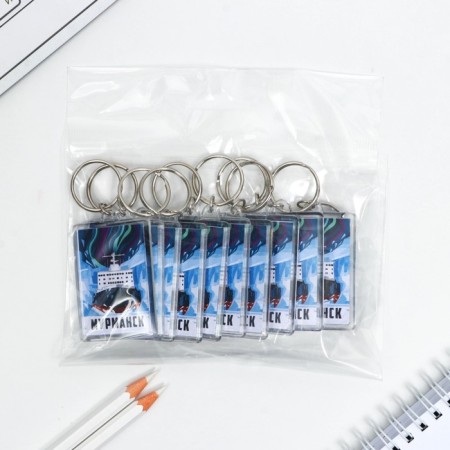 A keychain for keys "Murmansk" 3.5 x 5 cm.-3