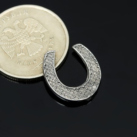 Koshelki souvenir "Horseshoe for happiness", tin-5