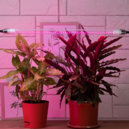 LED phytolamp, 9 watts, T8, 600 mm, base G13, IP20, blue-red spectrum, purple, "era"-4