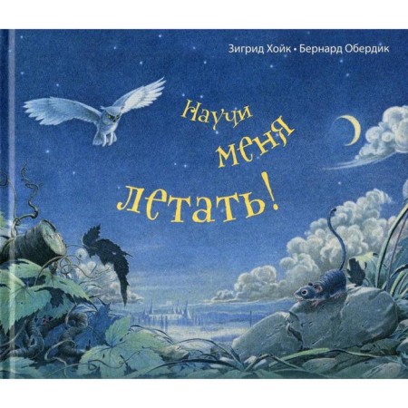 Teach me to fly!: Fairy Tale. Hoyk Z.