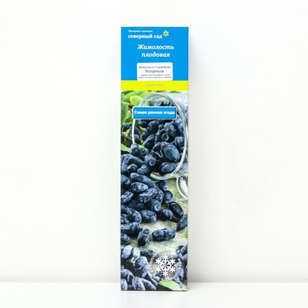 Edible honeysuckle (Northern Garden series) "Unlock", 1 pc, tube, spring 2024