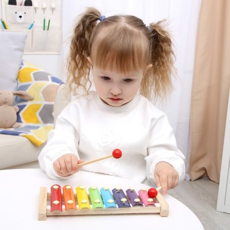 Игрушка музыкальная Металлофон, 8 тонов-1