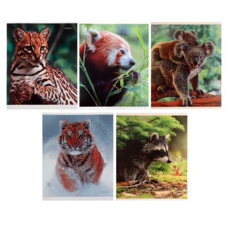 Notebook of 48 sheets in the cage "in the world of animals", paper cover, fields, white 90%, mix