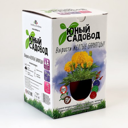 Set "Young Gardener" "Yellow velvettsy"-3