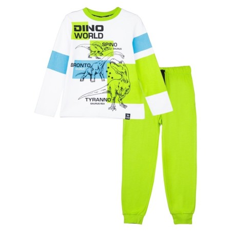 Set for a boy: T -shirt, trousers, height 116 cm