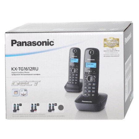 Radio telegon Dect Panasonic KX-TG1612RUH dark gray, AOO-4
