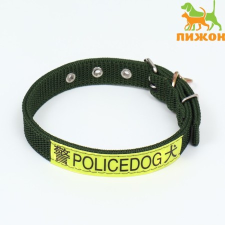 Two -layer collar with a swivel, 3 cm, green