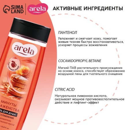 Гель для душа «Минуты блаженства», 250 мл, аромат карамельного мусса, ARELA-1
