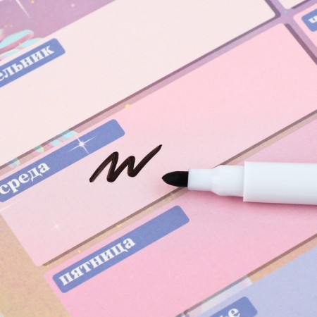 New Year. Magnetic planing A5 and erasing marker "Magic in your hands"-6