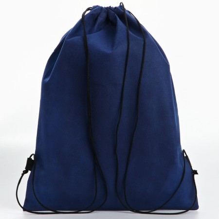 A bag for shoes Racing, non -packed canvas, size 30 x 40 cm-1