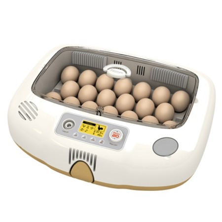 Incubator, 20 eggs, automatic coup, 65 V, with ovoscope, rcom