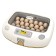 Incubator, 20 eggs, automatic coup, 65 V, with ovoscope, rcom