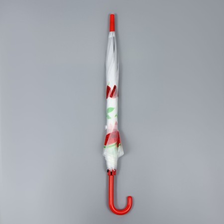 Umbrella - a semiautomatic “fruits” cane, 8 knitting needles, r = 45 cm, mix drawing-11