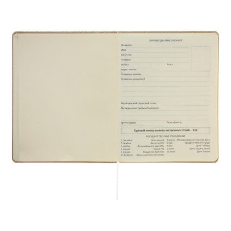 Universal diary for grade 1-11 Bow, hard cover, artificial leather, foil embossing, lies, 80 g/m2-4