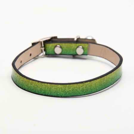 Rainbow varnish collar, 30 x 1 cm, red-2