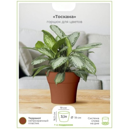 Plastic pot "Tuscan", d = 15, with a pallet, terracott-1