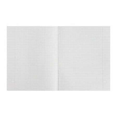 Notebook of 48 sheets in the Calligrata Emerald Cage, covered cardboard, block No. 2, whiteness 75% (gray sheets), mix-6