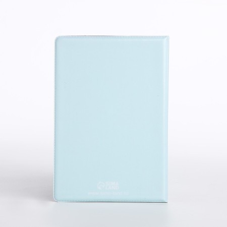 Cover for passport, blue color-2