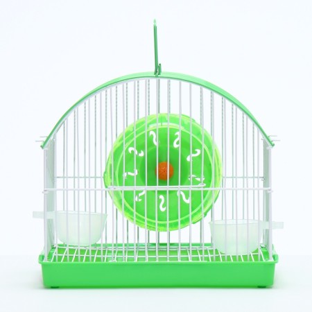 The rodent cell is equipped RT-2C, 23 x 16.5 x 20 cm, green (packing 30 pcs)-1