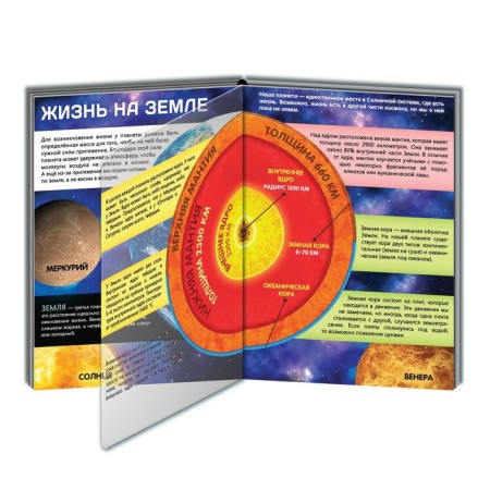 A book with transparent pages “Life on Earth. Animals and where they live ”, 30 p.-3