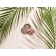 Blush with oil murumur Physicians Formula Murumuru Butter Blush, tone ripe peach, 7.5 g 92787