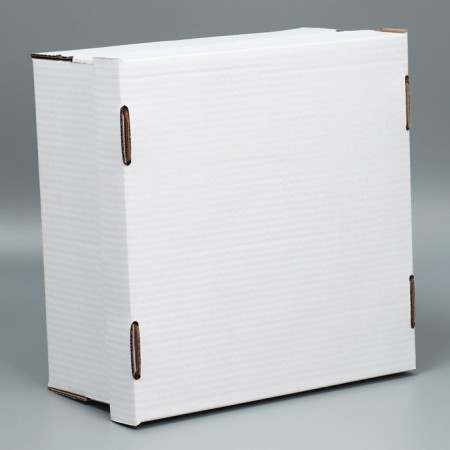 Cake box, confectionery packaging "White", 29 x 29 x 15 cm-1