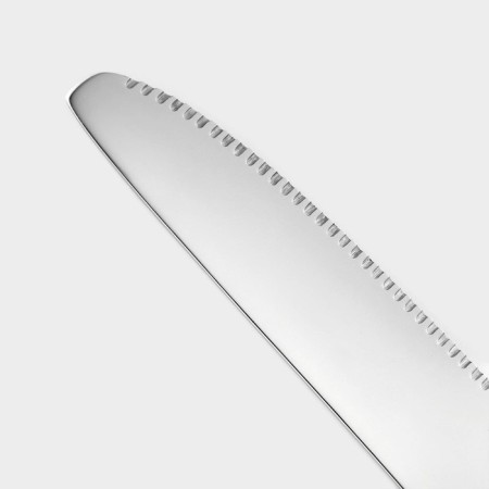 A stainless steel knife “Hokkaido”, length 23 cm, silver color-2