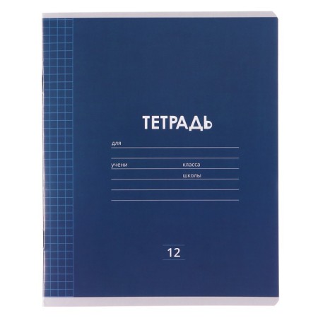 Notebook 12 sheets in Calligrata Calligrata "Plain Classic Linovka", cover Caped Paper, VD-LK, OFSET BOLK, Belility 95%, MIX-6