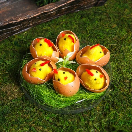 Easter souvenir "Chickens in the egg on the grass" set 6 pcs 4.5x14x14 cm