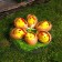 Easter souvenir "Chickens in the egg on the grass" set 6 pcs 4.5x14x14 cm