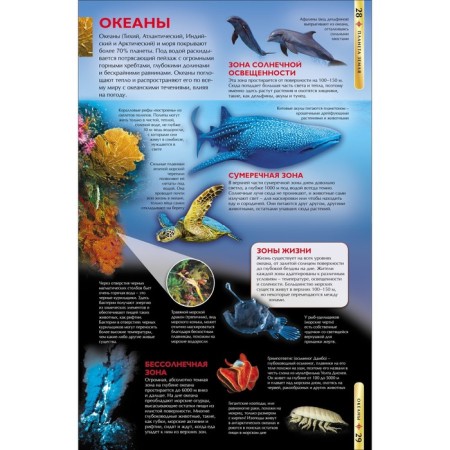 Children's Encyclopedia "Planet Earth"-4