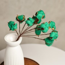 Set of dried flowers 