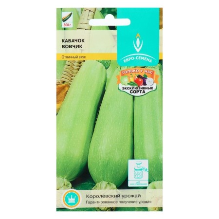 Semen zucchini "Vovchik", early adhesive, white -fruited, universal, 1 g-2