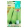 Semen zucchini "Vovchik", early adhesive, white -fruited, universal, 1 g