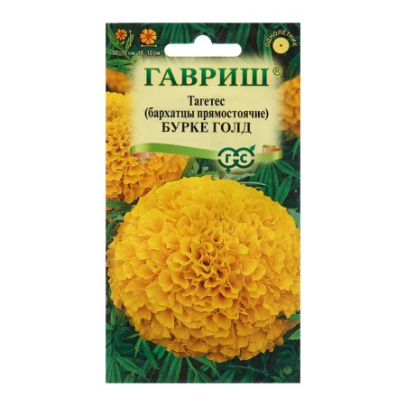 Burke Gold Burke seeds, 0.3 g