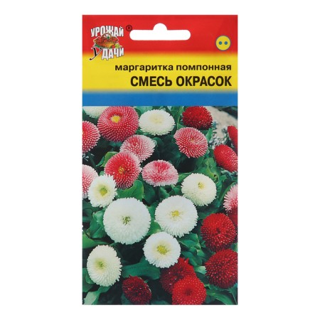 Flower seeds Margaritite pompous, mixture, 0.03g