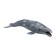 Figure "World of Marine Animals: Gray Whale"