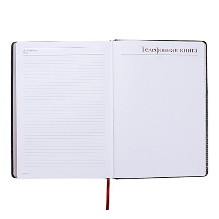 Diary of Leduced A4, 136 sheets of Sidney Nebraska, solid cover, artificial leather, gold cut, liesse, blue-14