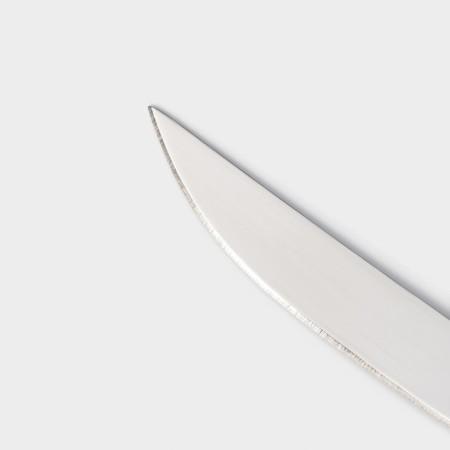 Knife Kitchen shade "Straip", blade 11.5 cm, blue color-2