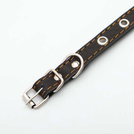 Single-layer leather collar with corrugated eyelets, dimensionless, 40 x 1.5 cm, Osh 27-35 cm, black 7-4