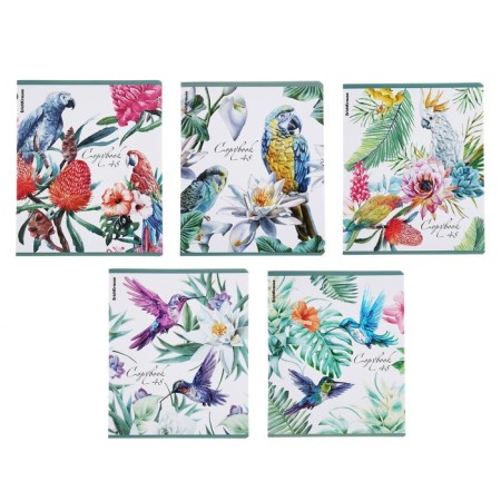 Notebook of 48 sheets in the Erichkrause “Tropical Birds”, matte lamination, an offset block 100%, mix