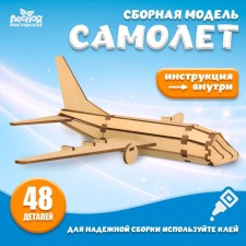 Airplane Model Model