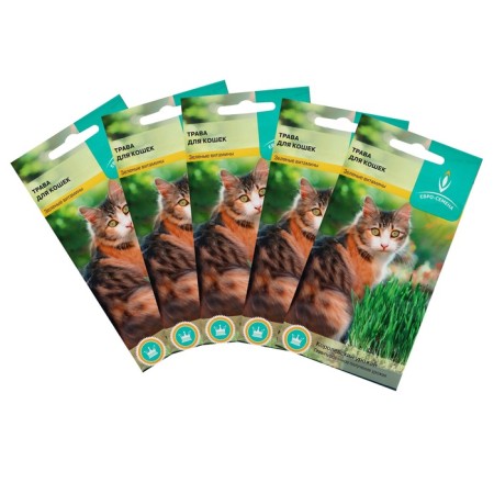 Seeds grass for cats, set 5 pcs
