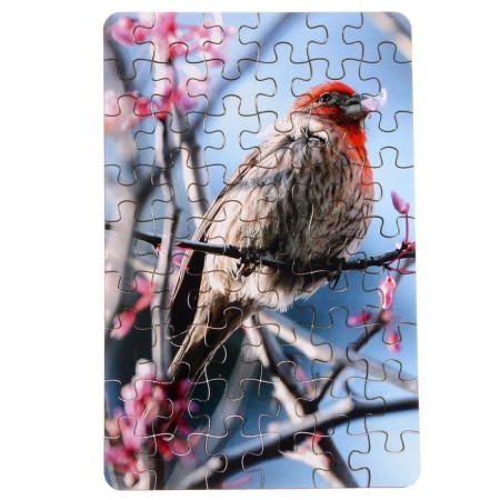 Puzzle series Fantasy "Bird", 54 details, size - 28 × 18.5 cm-1